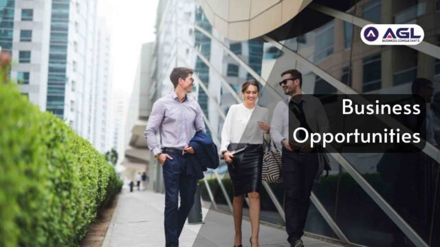 Dubai is an ideal place for Business